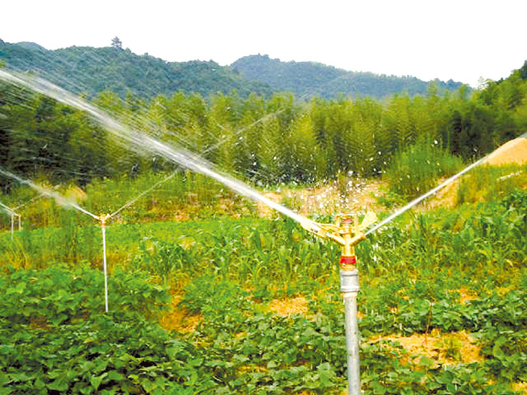 ����స��